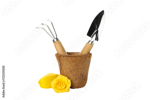 PNG, Gardening tools and yellow flowers, isolated on white background