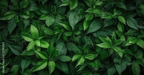 lush green foliage texture, showcasing detailed leaves and vibrant colors © Stock Pix