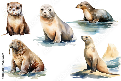 Watercolor collection of marine mammal illustration © 인혜 갈