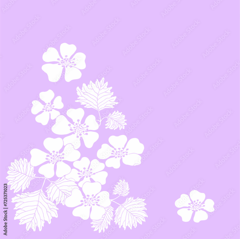 Wild strawberry flower frame material. Wild strawberry flower frame material.