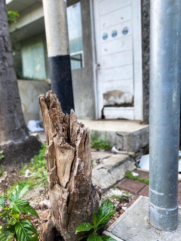 Fototapeta premium tree stump between metal telephone poles