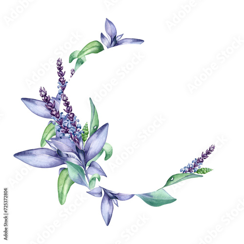 Fototapeta Naklejka Na Ścianę i Meble -  Wreath of sage herbal plant watercolor illustration isolated on white background. Circle frame with salvia officinalis, purple leaves, useful herb hand drawn. Design for label, package, postcard