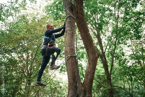 Extreme sports, high up. Man is doing climbing in the forest by use of safety equipment