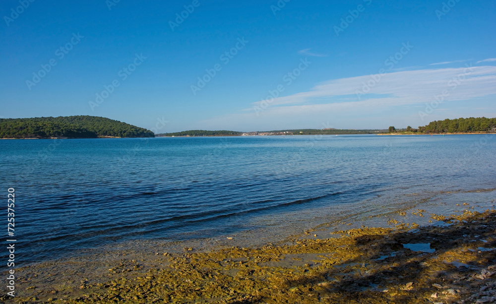 The coast of the Kasteja Forest Park - Park Suma Kasteja - in Medulin, Istria, Croatia. Premantura peninsula is in the background. December