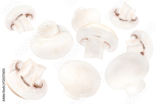 Levitation of a champignons isolated on a transparent background.