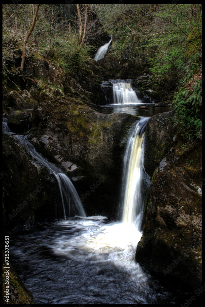 Fototapeta premium waterfall in the forest