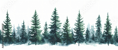 Illustration with high pines in fir trees