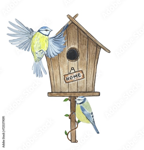 Birdhouse with tits, watercolor illustration