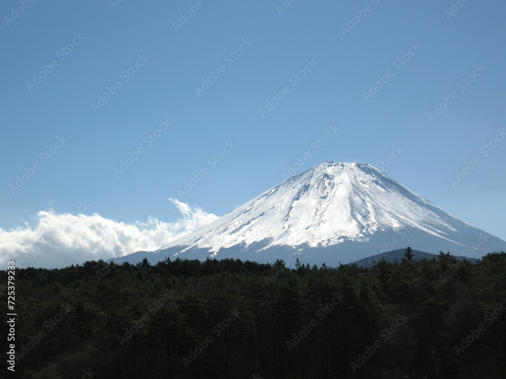 樹海の上にそびえ立つ富士山