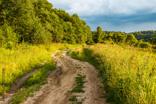 A dirt country road in the countryside running between overgrown fields and forests