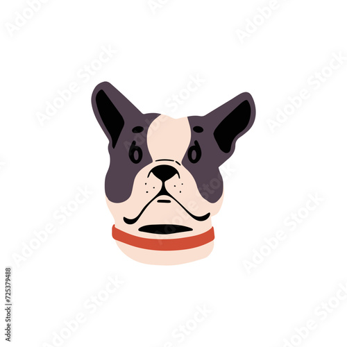 Cute French bulldog muzzle. Adorable toy breed puppy in collar. Amusing lap dog avatar. Funny little doggy face. Purebred canine pet portrait. Flat isolated vector illustration on white background