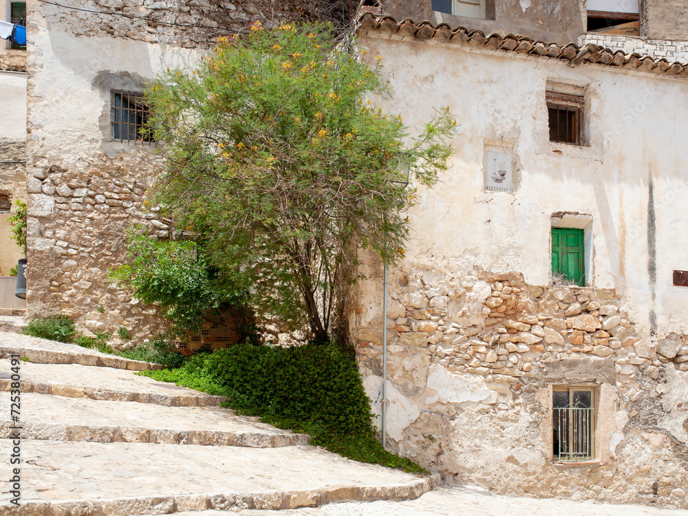 Tree next to facade of old house in Bocairente (Valencia, Spain)