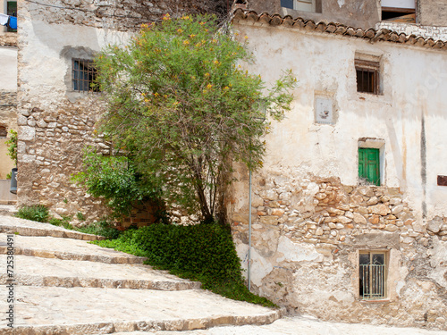 Tree next to facade of old house in Bocairente (Valencia, Spain) photo