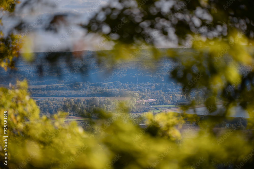 Distant view towards the horizon among the thick branches of the forest. The natural window created by nature Distant view towards the horizon among the thick branches of the forest. The natural window created by nature
