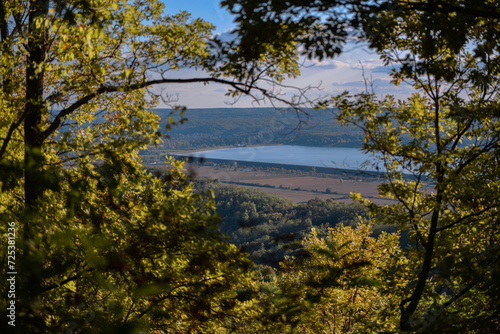 Distant view towards the horizon among the thick branches of the forest. The natural window created by nature