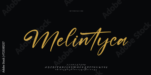 signature Font Calligraphy Logotype Script Brush Font Type Font lettering handwritten	
