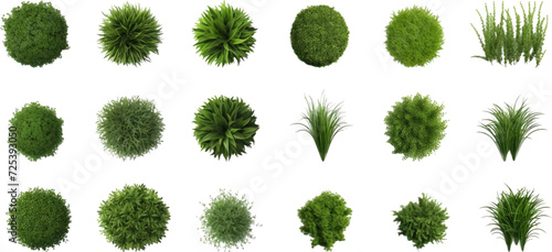 Set of top view of grass bushes isolated on white background. photo