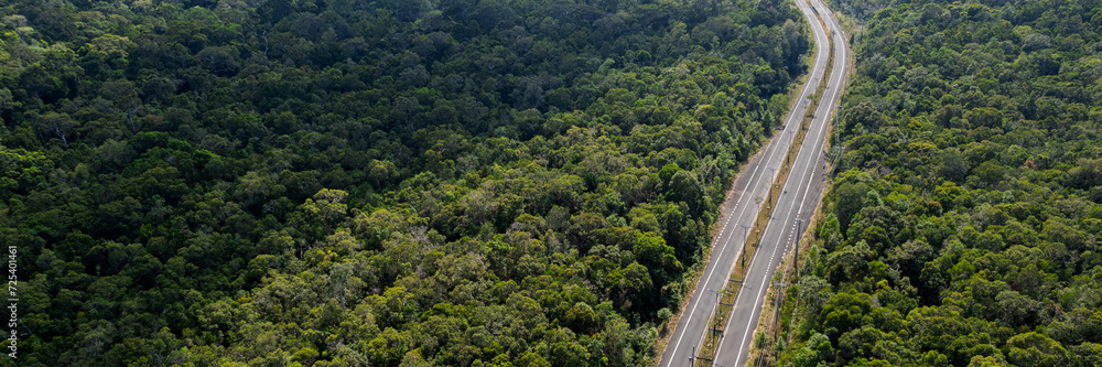 Fototapeta premium Aerial view of a highway cutting through a lush green forested landscape, symbolizing human infrastructure and transportation within natural environments