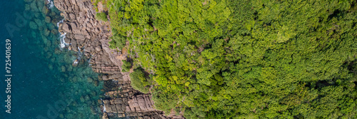 Aerial view of a vibrant coastal ecosystem where lush green forest meets clear ocean water along rocky cliffs