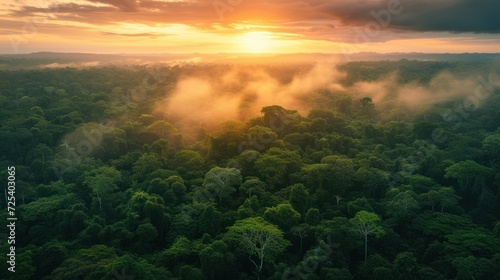 Amazon green forest with sunset in background