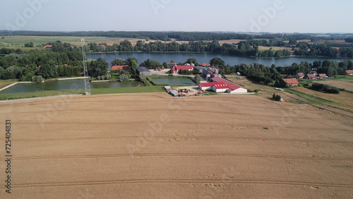 Fototapeta Naklejka Na Ścianę i Meble -  zboża