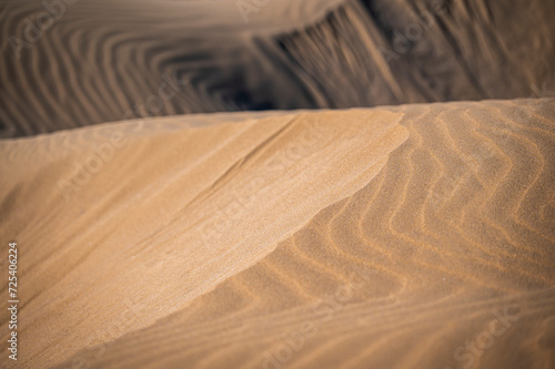 The wild beach of Lignano Sabbiadoro Dune coasts before the arrival of tourists.