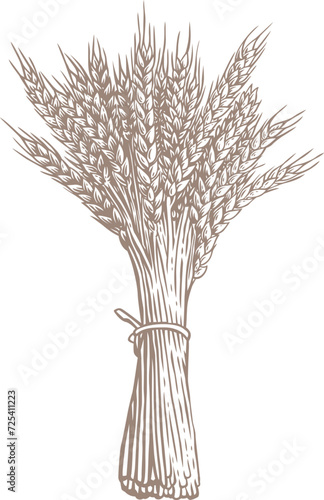 Drawing of wheat sheaf