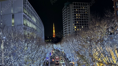 Every winter, Roppongi Hills welcomes the Roppongi Hills Christmas Carnival. Tthe Kasumizaka boulevard stretches for about 400 meters and is illuminated by about 800,000 LED lights. photo