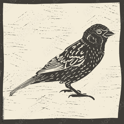 Quadro em tela Sparrow isolated vector illustration in linocut style