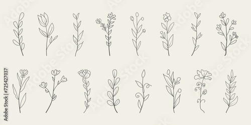 Fototapeta Naklejka Na Ścianę i Meble -  Set of floral botanical doodle. Hand drawn floral branches with leaves. 