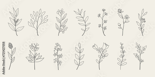 Set of floral botanical doodle. Hand drawn floral branches with leaves. 