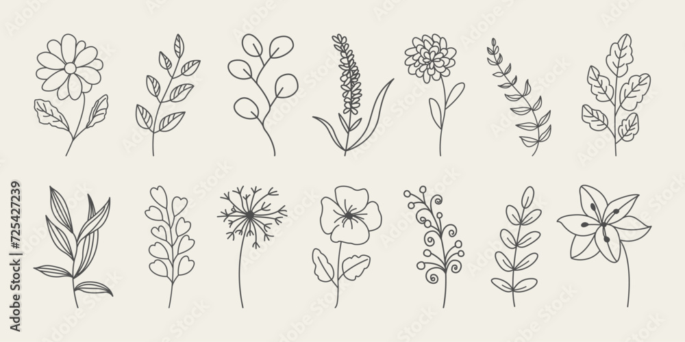 Set of botanical hand drawn leaves, branches, and blooming flowers.