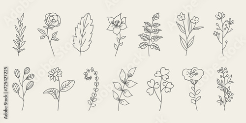 Set of hand drawn flowers, branches and leaves. Doodle style minimalistic flowers with elegant leaves. #725427225