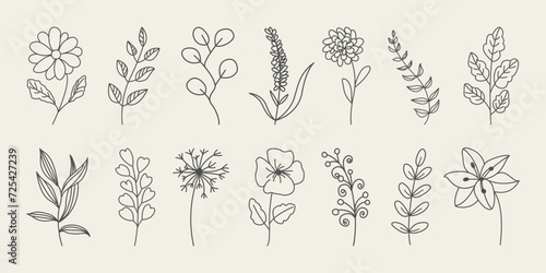 Set of botanical hand drawn leaves, branches, and blooming flowers.