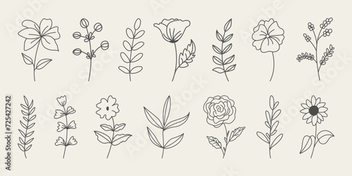 Set of botanical hand drawn leaves, branches, and blooming flowers. photo