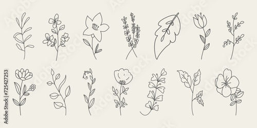 Set of hand drawn flowers, branches and leaves. Doodle style minimalistic flowers with elegant leaves.