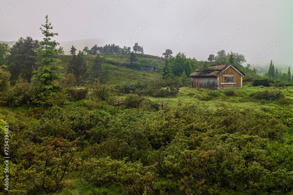 Abandoned seter mountain farm landscape near the village of Utvik, Norway - obrazy, fototapety, plakaty 