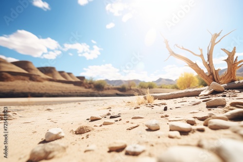 a dry riverbed under a scorching sun in a desert photo