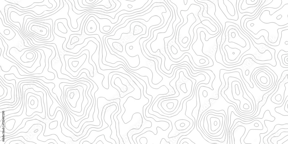 White wave paper curved reliefs abstract background black and white, Background of the topographic line map. Topographic map patterns abstract white topography vector background. White wave paper curved reliefs abstract background black and white, Background of the topographic line map. Topographic map patterns abstract white topography vector background.