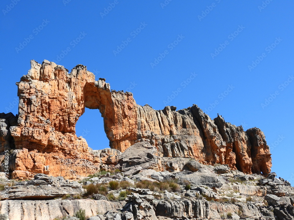 Wolfberg , Flowers , Table Mountain , Kruger 