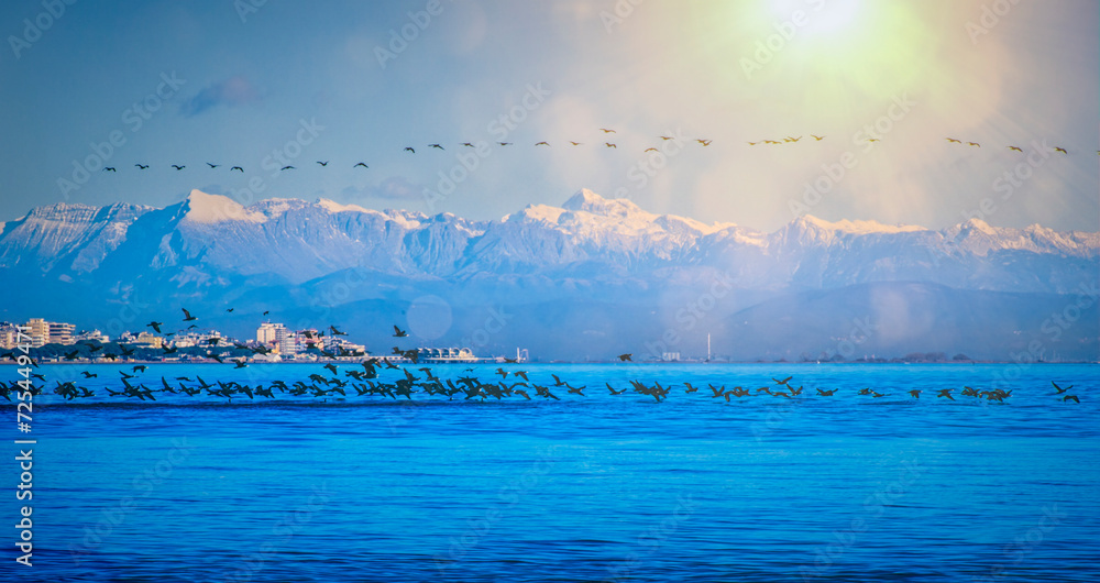 Obraz premium background with birds, sea and snow covered mountains