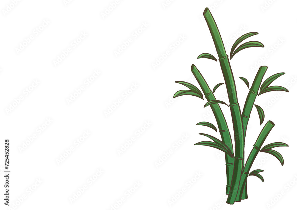 Bamboo Bamboo