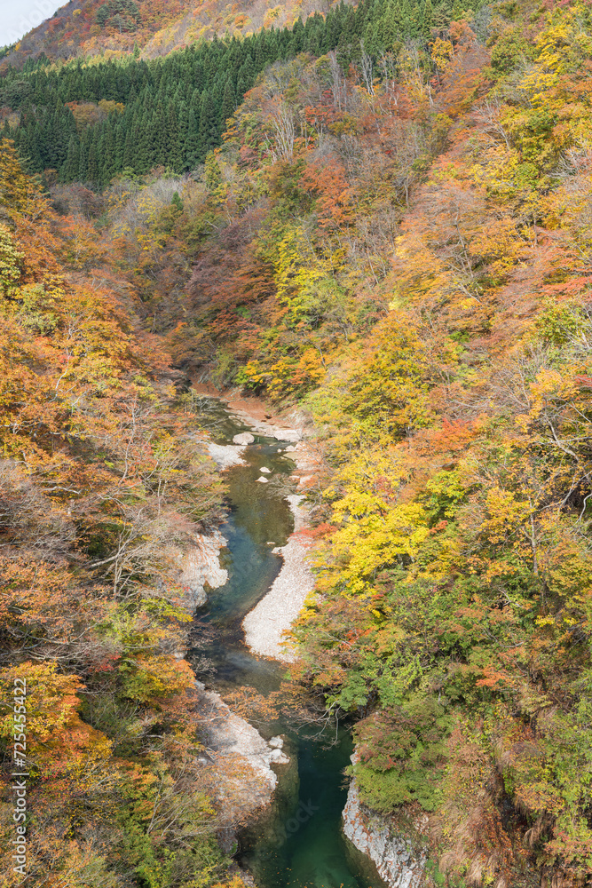 日本 秋田県湯沢市の小安峡の紅葉 日本 秋田県湯沢市の小安峡の紅葉