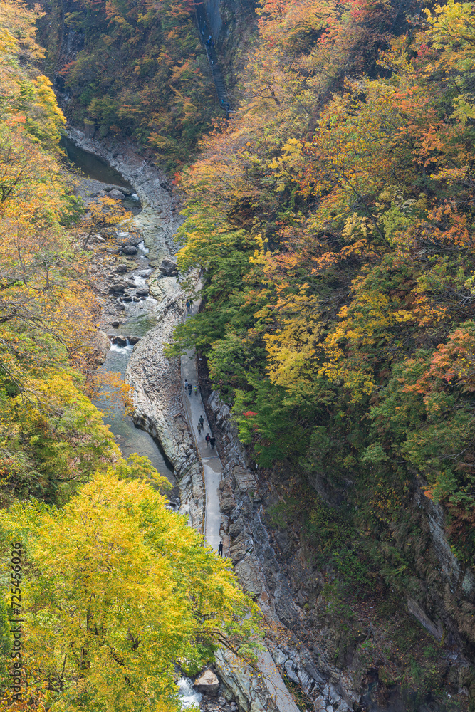 日本　秋田県湯沢市の小安峡の河原湯橋からの紅葉と大噴湯