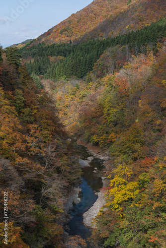 日本 秋田県湯沢市の小安峡の紅葉