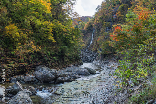 日本 秋田県湯沢市の小安峡の紅葉した木々と滝