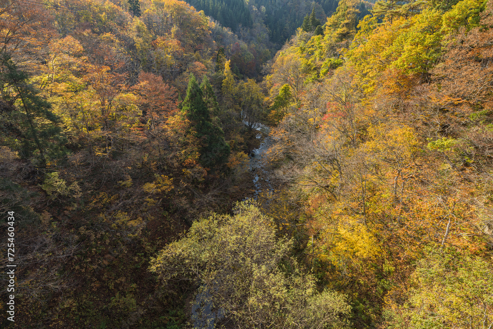 日本　秋田県湯沢市の三途川橋から見える三途川渓谷と紅葉した木々