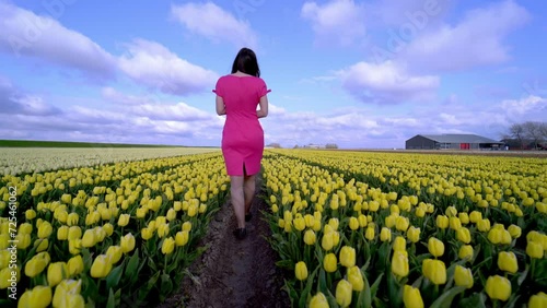 Beautiful Woman in summer dress standing in colorful tulip flower fields in Amsterdam region, Holland, Netherlands. Magical Netherlands landscape with tulip field in Holland Trevel and spring concept. photo