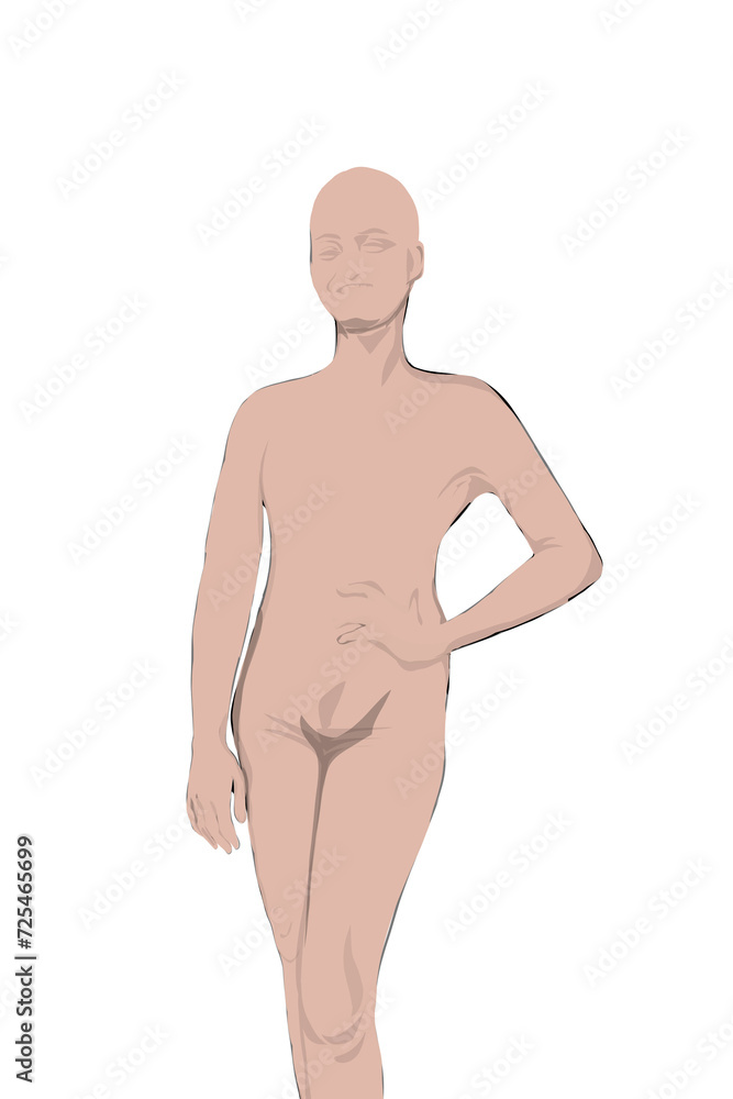 Human models without clothes with white backgrounds, for design and medical purposes Human models without clothes with white backgrounds, for design and medical purposes