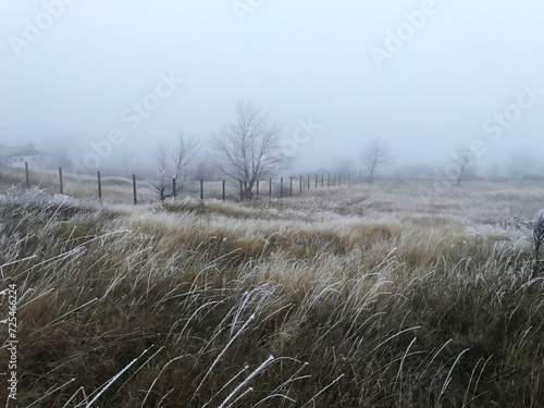Country side rural scene photo of the morning winter landscape